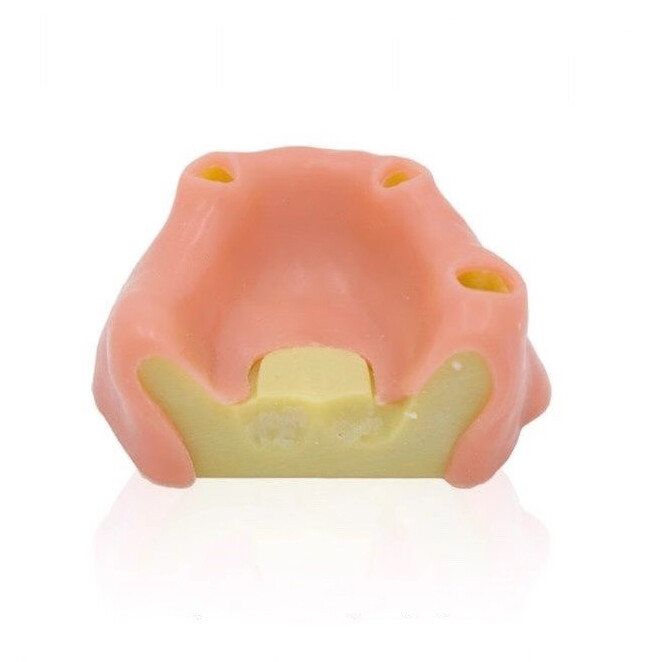 Dental Maxillary Sinus Lift Model Typodont Practice Model TYPE A/B