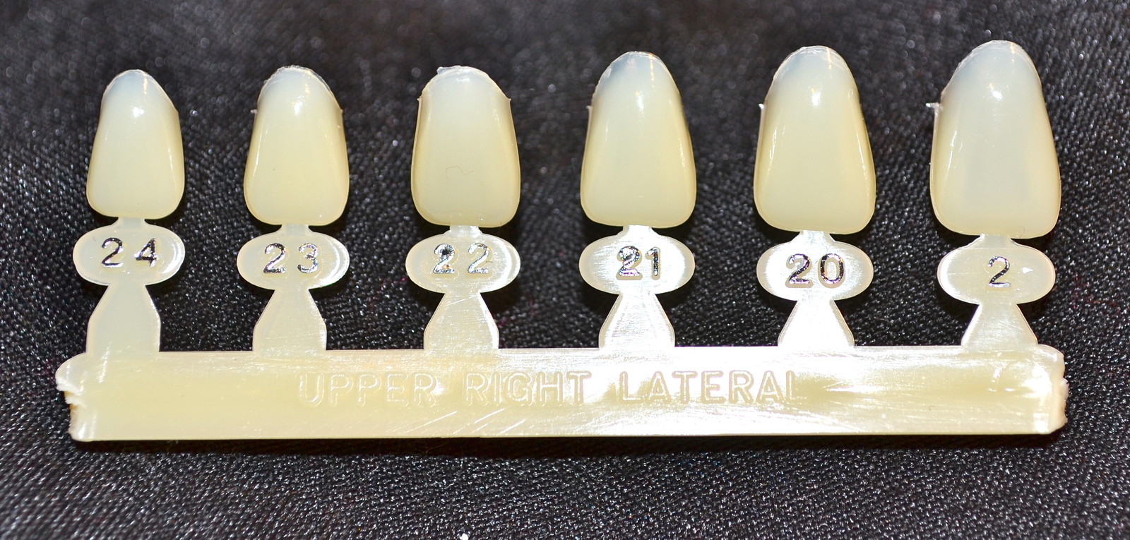 #7 Upper Right Lateral tooth – Dental Polycarbonate Temporary Crowns 6 sizes