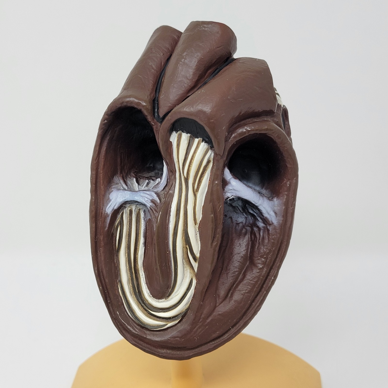Banfield Veterinary Plastic Anatomical Model for Education – Canine Heart