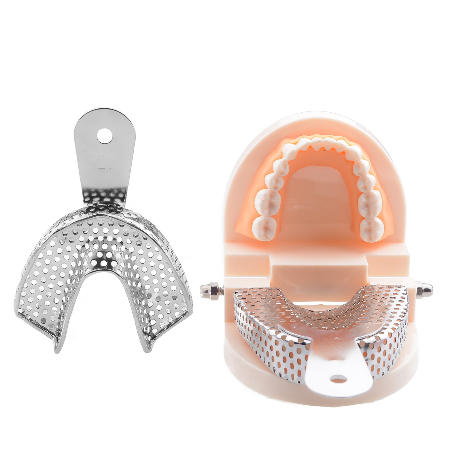 2Pcs Dental Upper Lower Teeth Trays Stainless Steel Impression Trays Small Size
