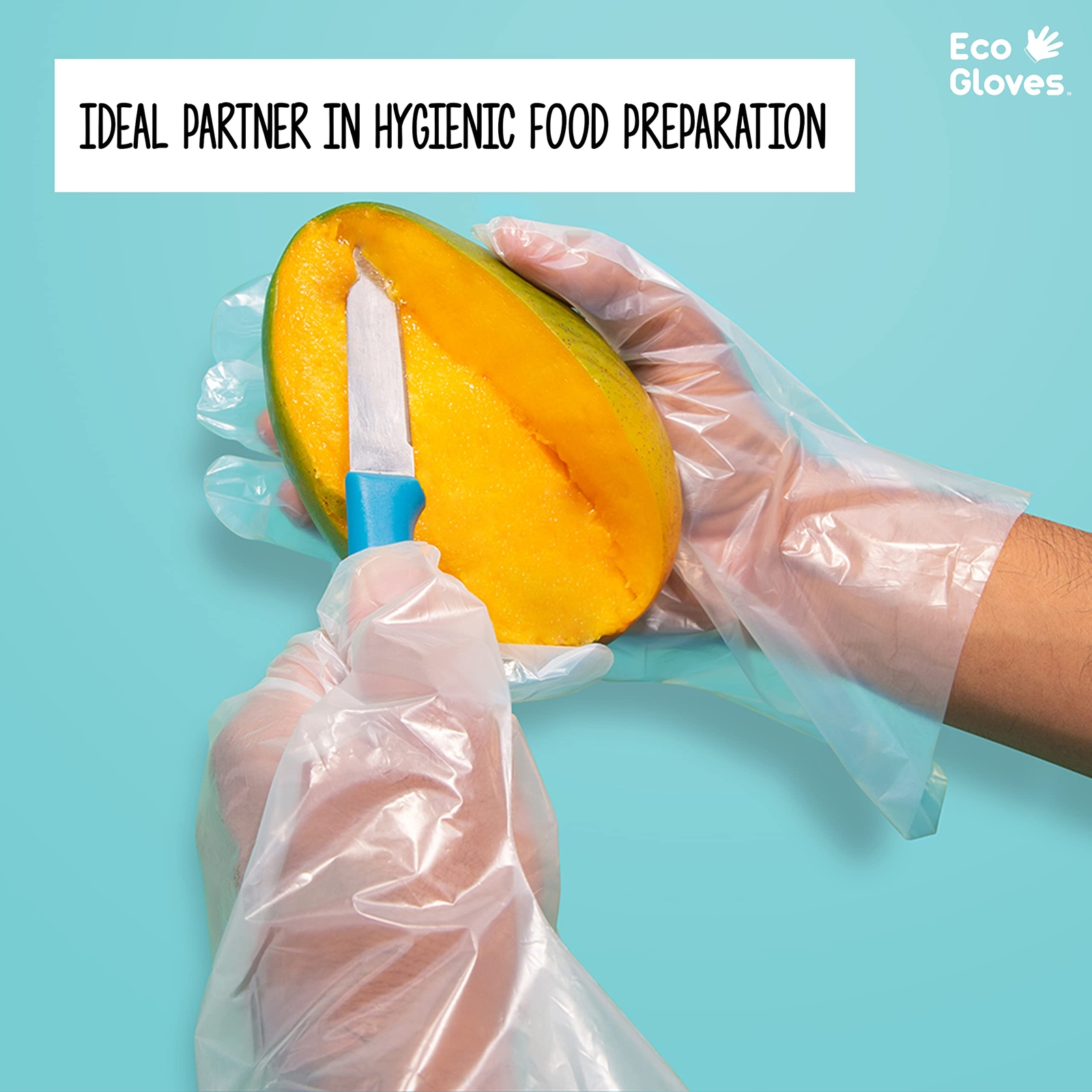 Plantbased Compostable Ecofriendly Gloves For Food Prep & Cleaning
