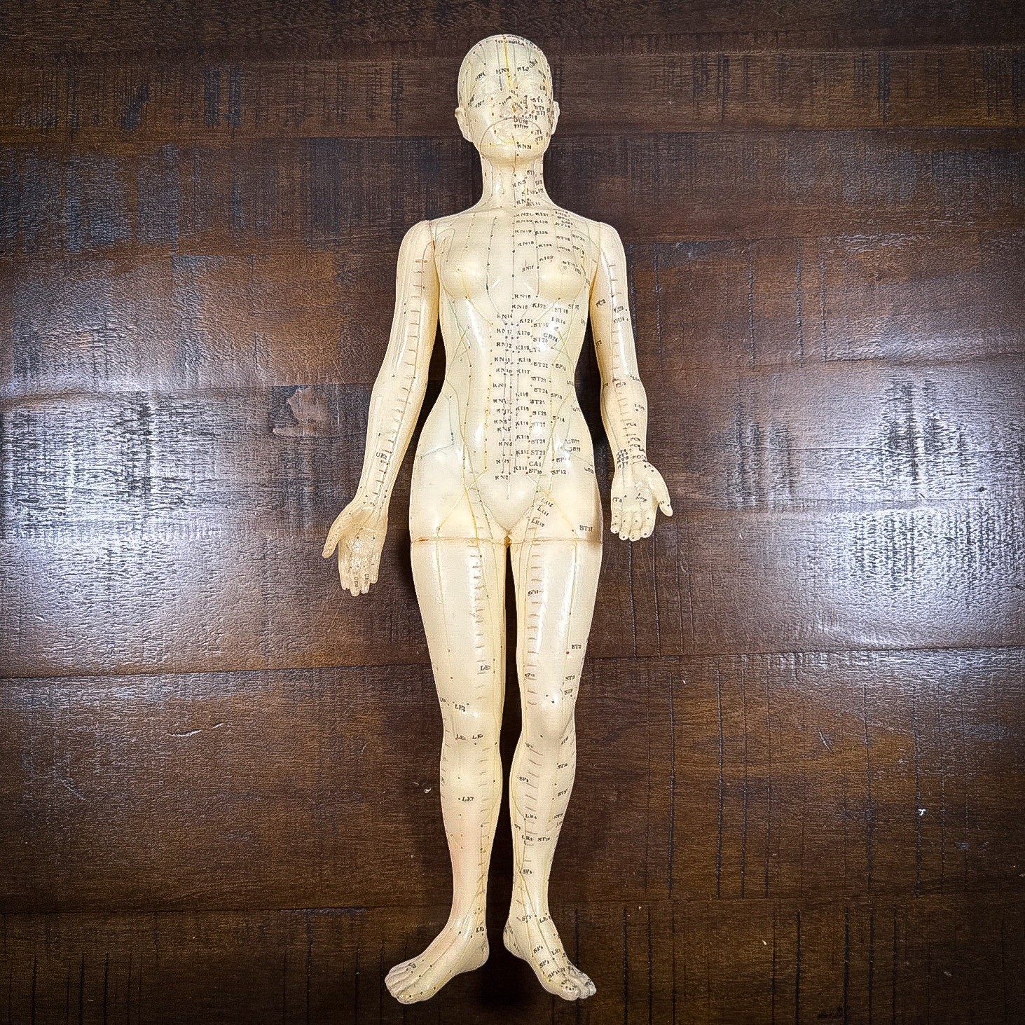 Medical Acupuncture 18″ female figure Chinese medical – No Stand – USED
