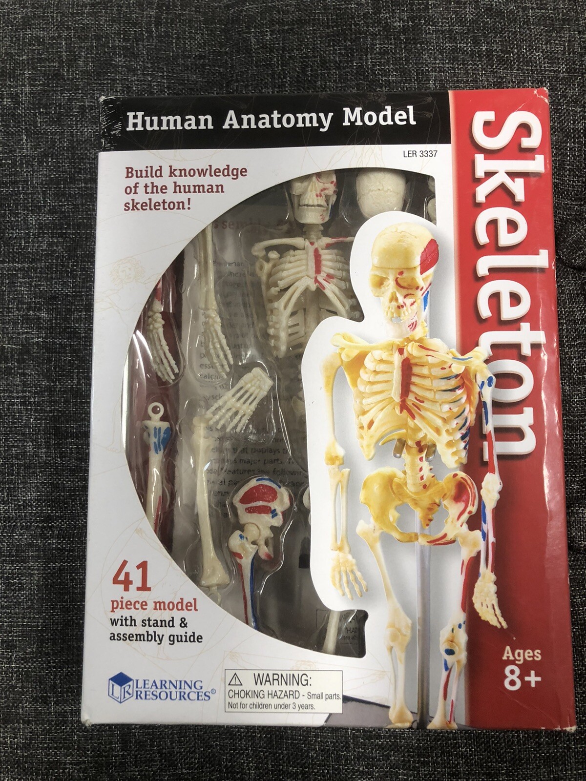 Learning Resources Human Anatomy Model Skeleton LER 3337 Homeschool Nursing