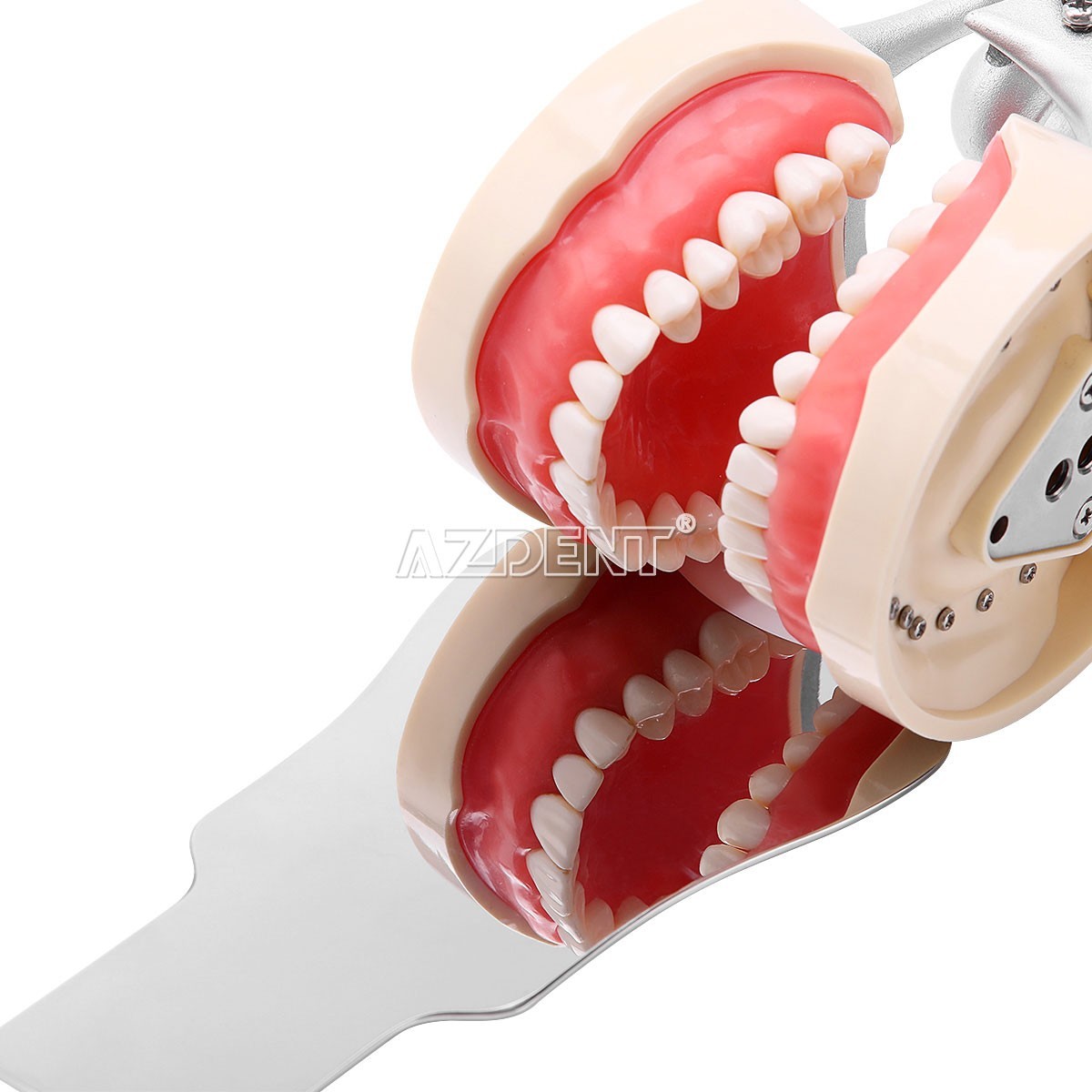 Dental Reciprocating Endo Files Niti Rotary Root Canal Heat Activated File 25mm