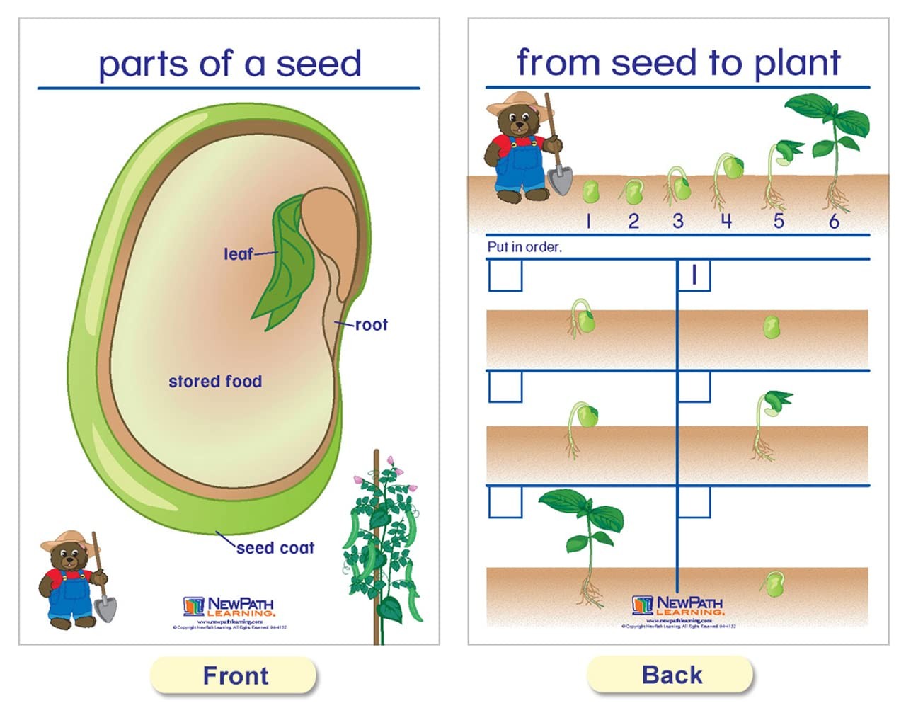 Newpath Learning Newpath All About Plants Bulletin – –