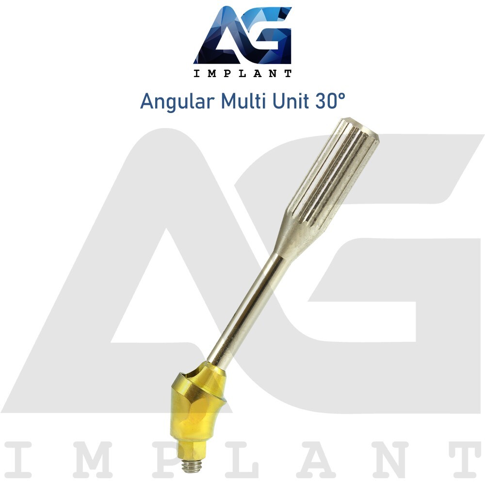 10 Angular Multi Unit 1.6 Prosthetic System 30° Internal Hex With Screw