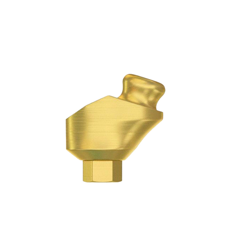 1x Angulated Lock Attachment 30° Silicone Kit For Dental Overdenture Int Hex