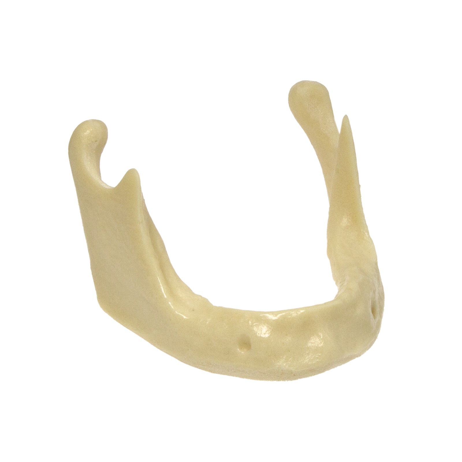 Dental Implant Jaw Bone Model For Practice Basic Drilling Insertion M2022/2023