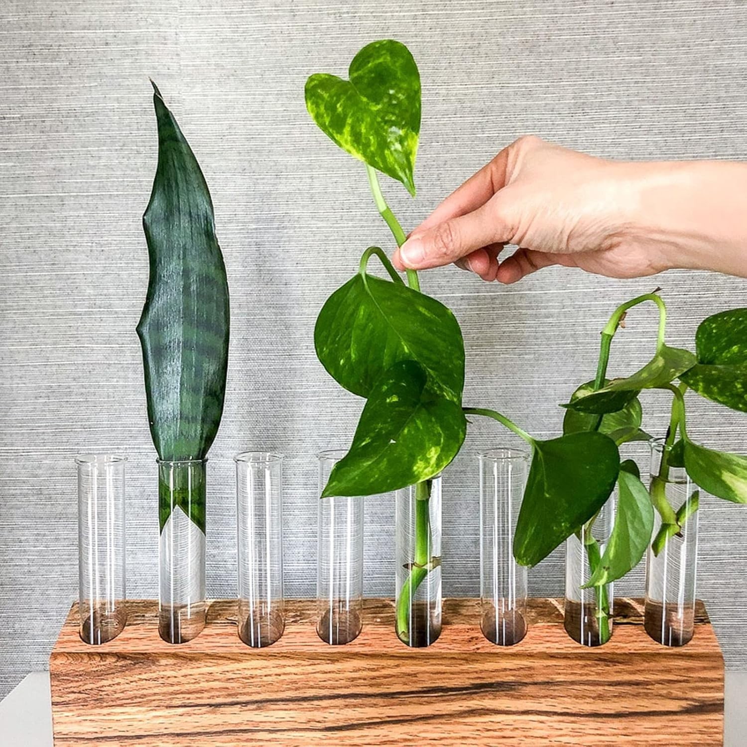Science Lab Party Supplies – 25 Glass Tubes with Corks