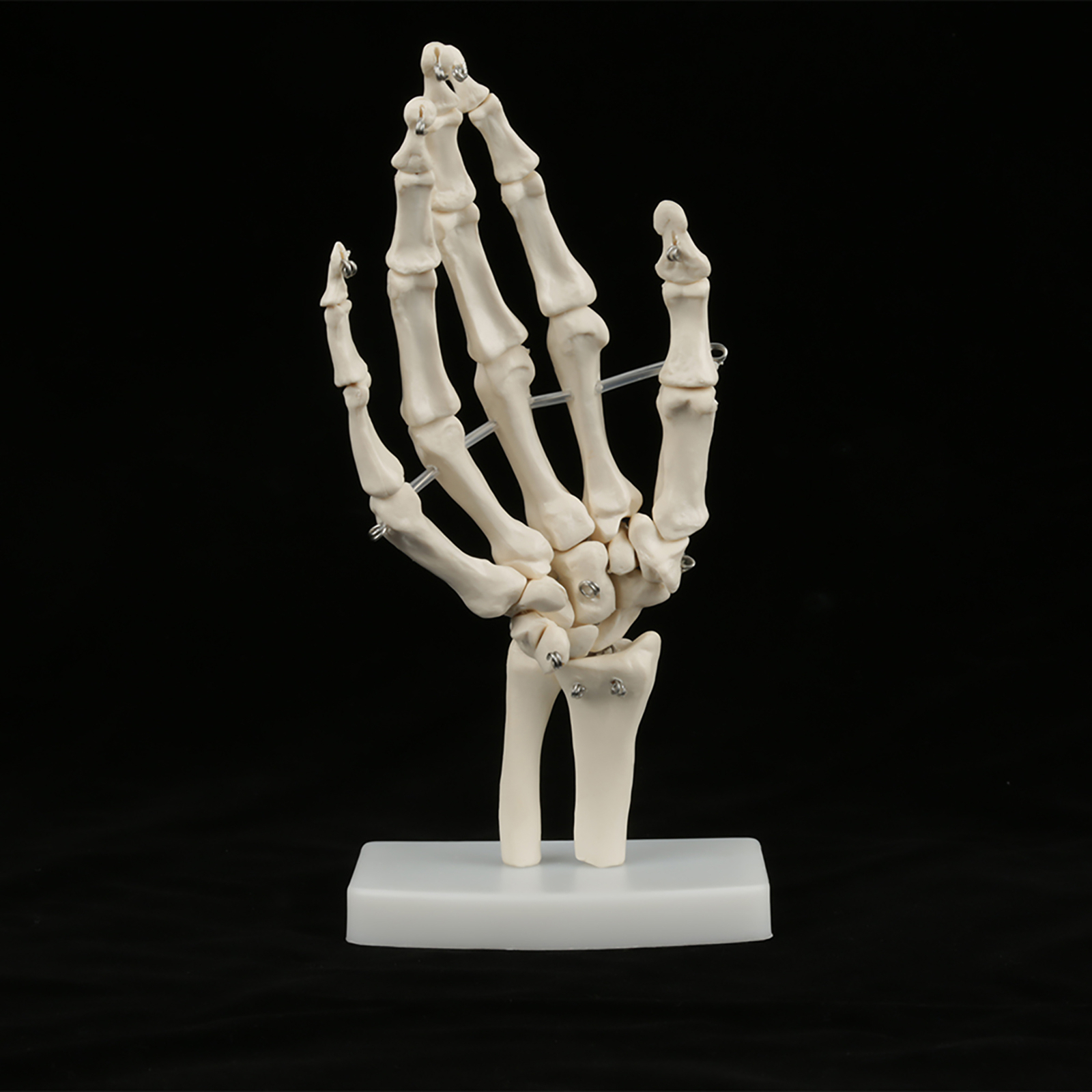 Professional Medical Anatomical Life Size Human Hand Joint Study Skeleton Model