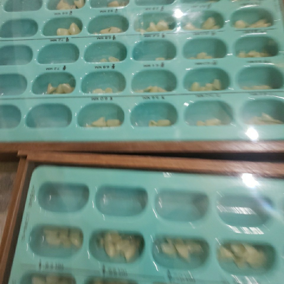 Dental Wood Cabinet With 100’s of Polycarb & Transparent Plastic Crown Forms