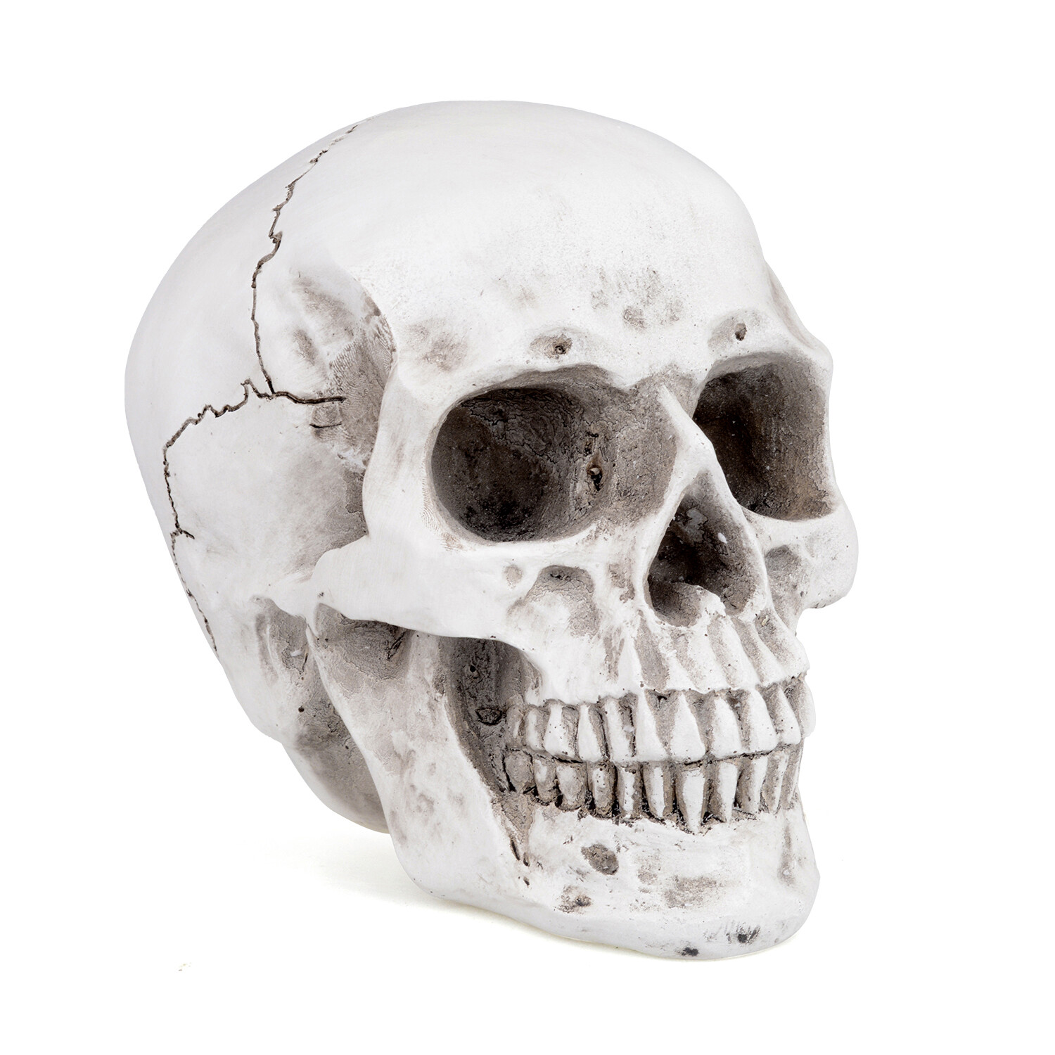 1:1 Retro Human Skull Replica Resin Anatomical Model Medical Life Size Realistic