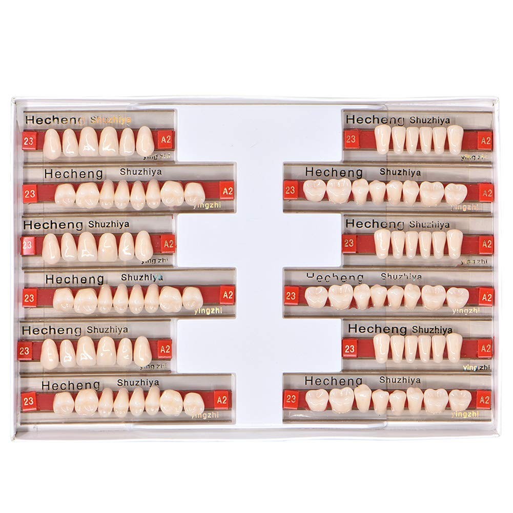 Teeth False Perfect Dental Fake Tooth Look Natural Perfect Smile