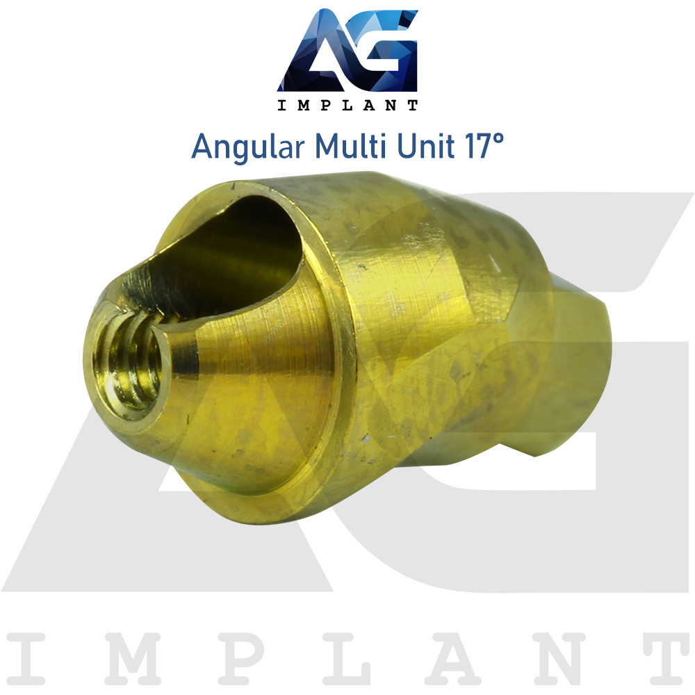 10 Angular Multi Unit 1.6 Prosthetic System 17° Internal Hex With Screw