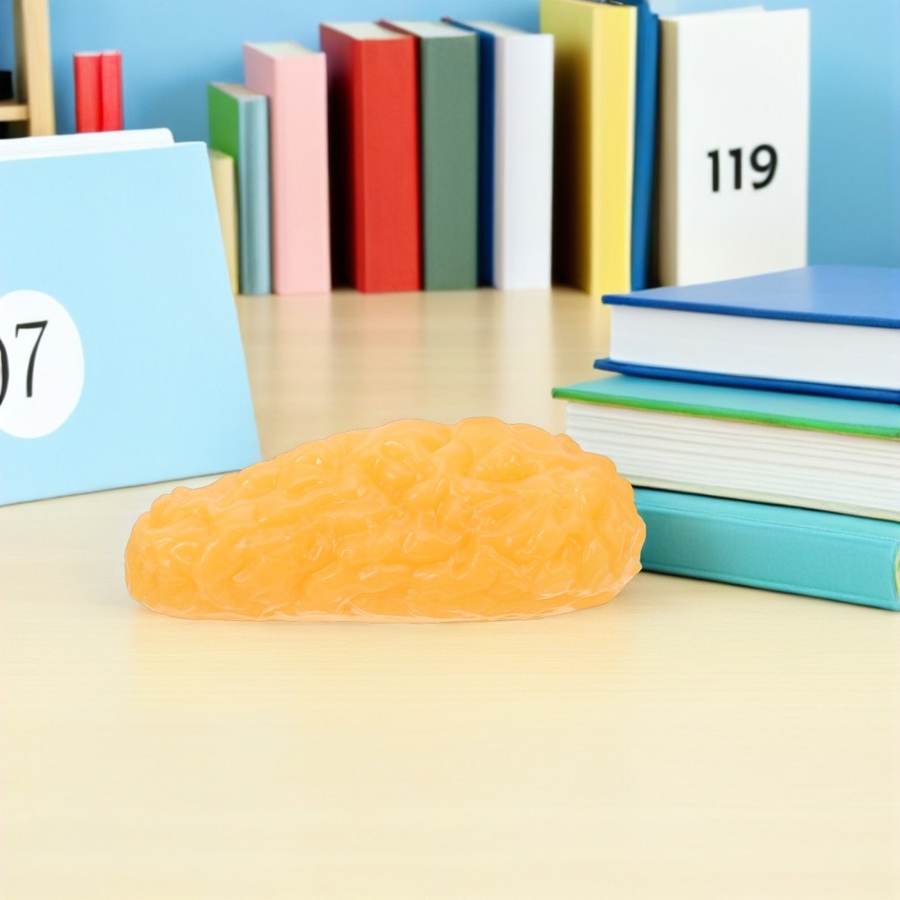 Human Body Fat Model Display Tool Tissue