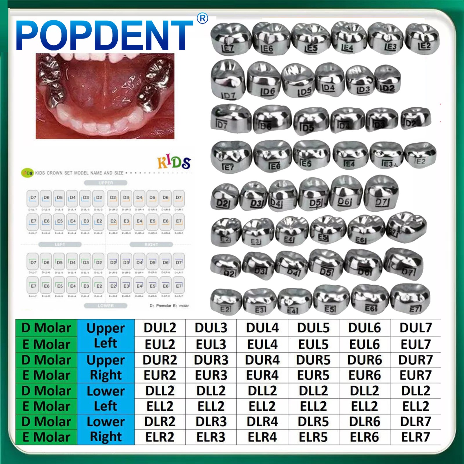 5Pcs Stainless Steel Dental Kids Primary Molar Crowns Pediatric crown 48 Size