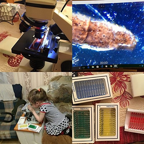 Jiusion 48Pcs Prepared Microscope Slides 48Pcs, Blue,Green,Red,Yellow