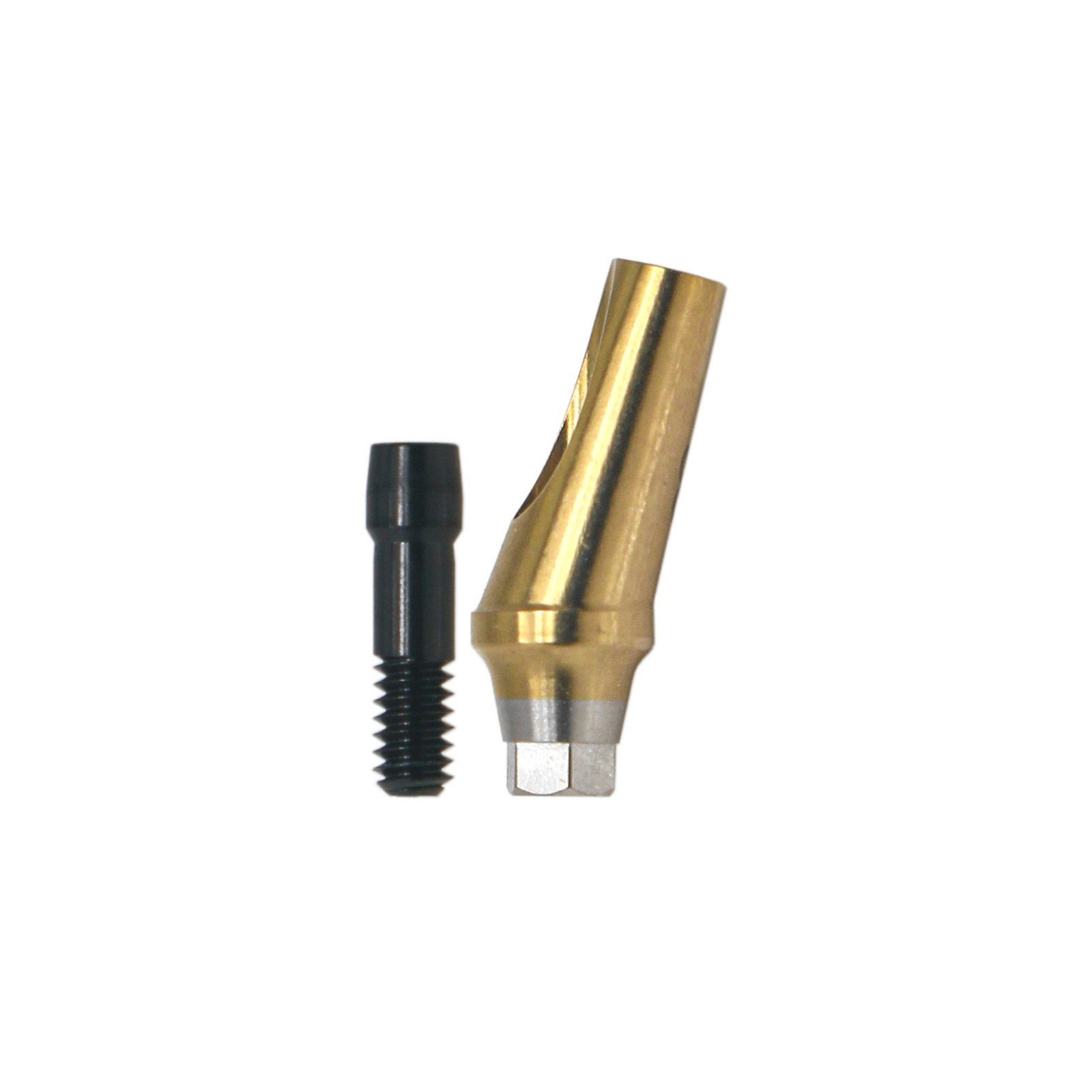 US Dental 17° Angled Anatomic Abutment Mini /Regular Fits Hiossen Osstem TS