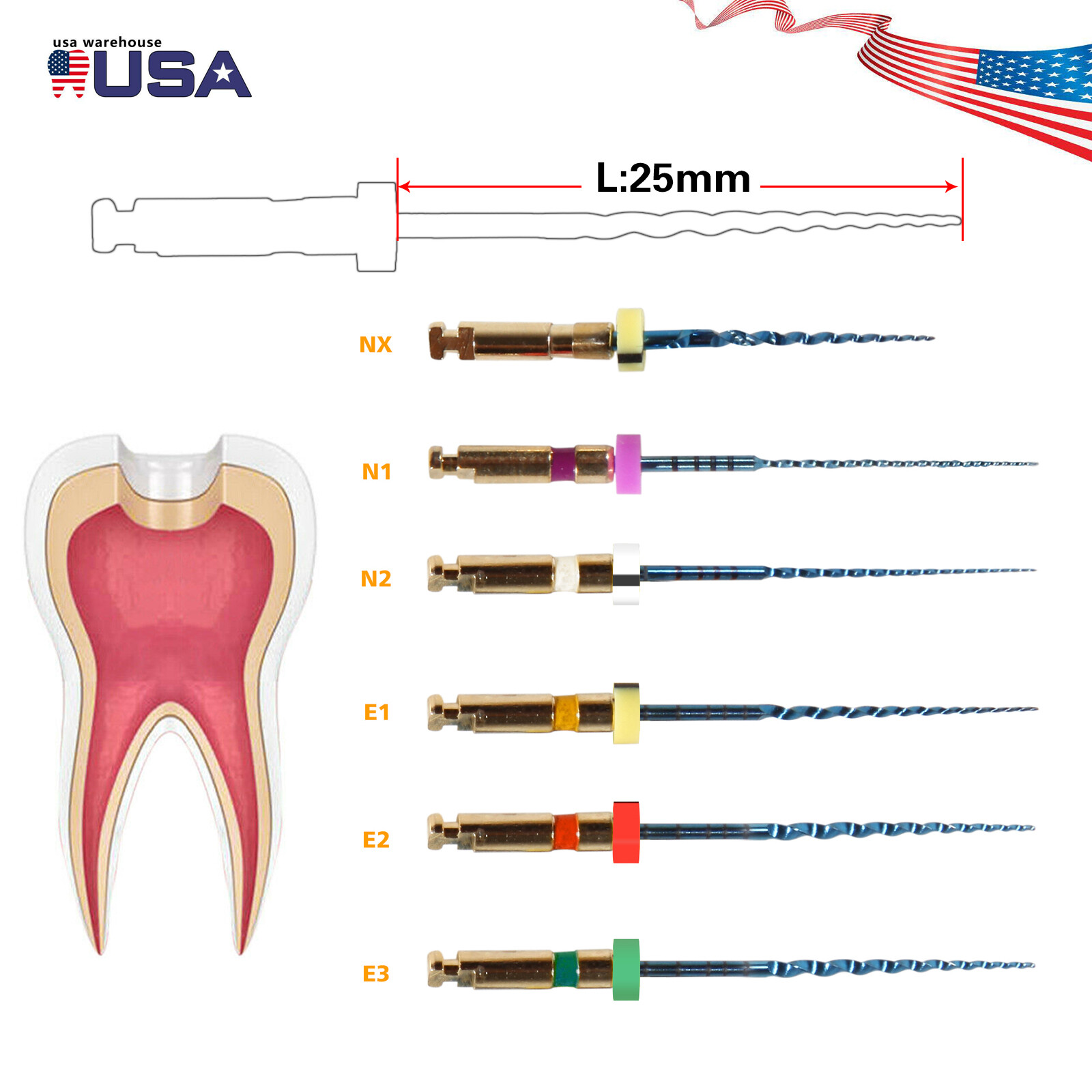 Dental Endo Endodontic File Engine Rotary Root Canal NiTi Files 25MM Flexible