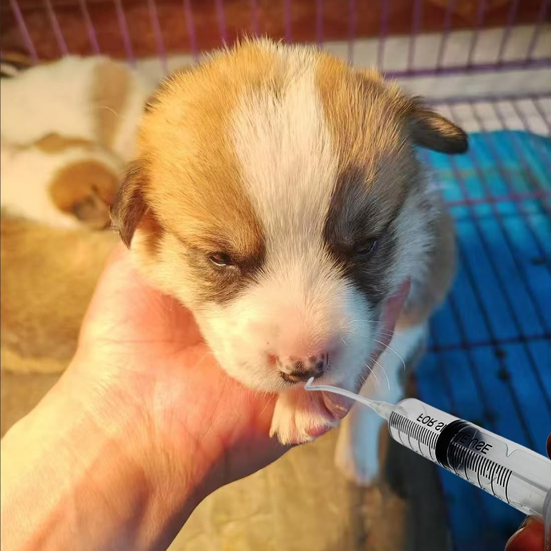 Yiqianhome 11pcs Puppy Kitten Feeding Tube Kit for Small Animals and clear
