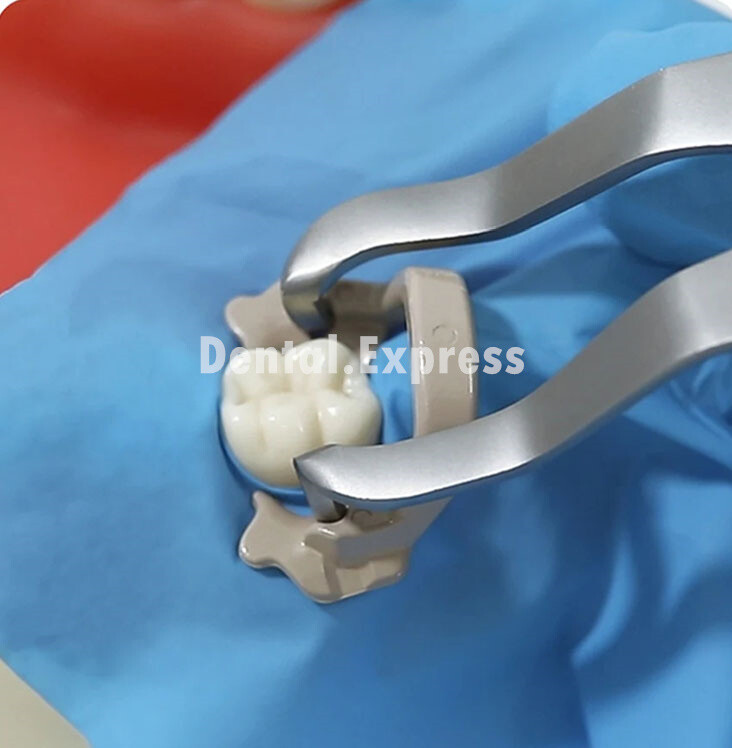 4pc Dental Resin Soft Clamp Plier Dam Sheet Clamps For Molar Premolar Clips