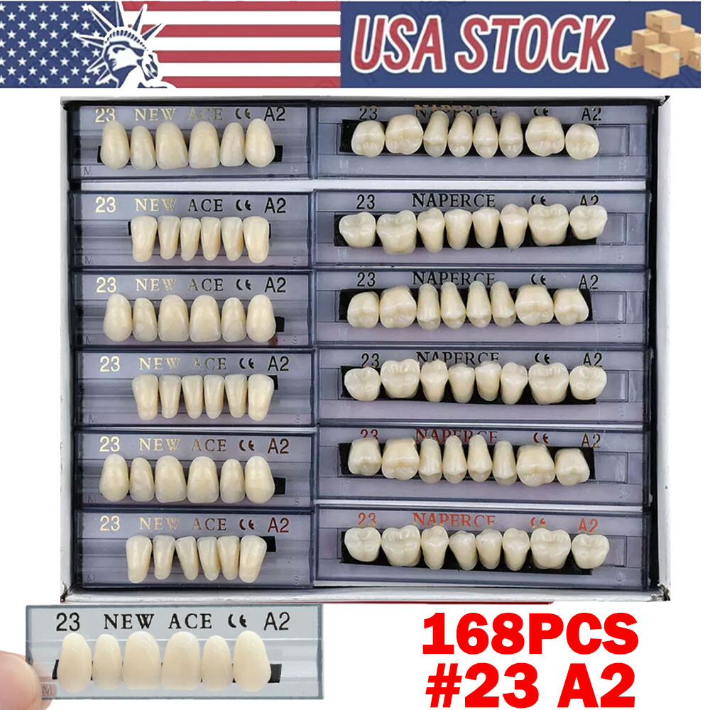 168Pcs Acrylic Resin Denture #23 Dental Upper Lower Shade A2 Teeth Set USA