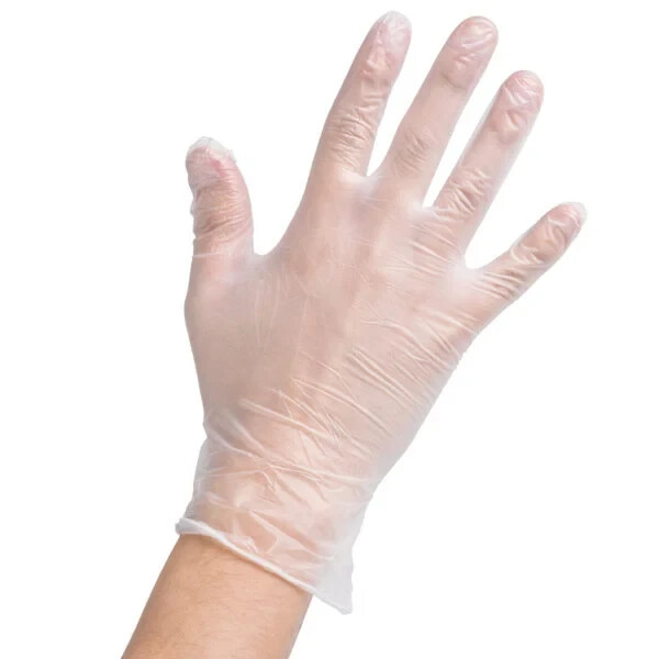 Noble Products Large Powder-Free Disposable Vinyl Gloves for Foodservice 100