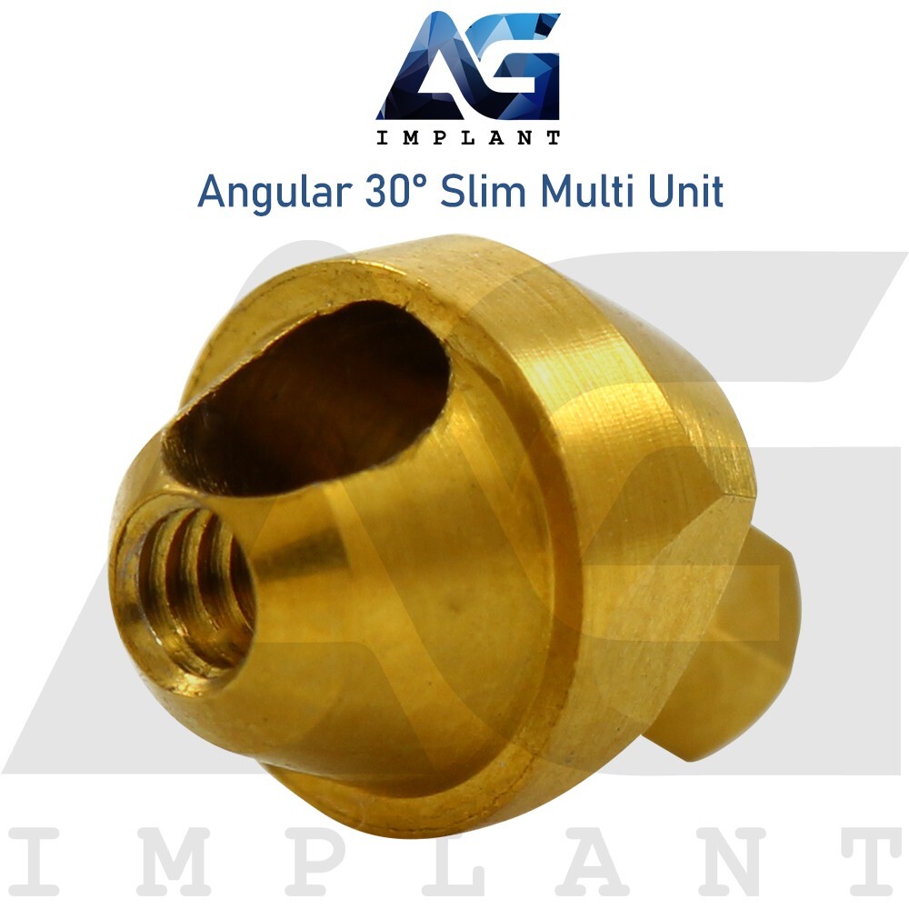 10 Angular Slim Multi Unit 1.6 Prosthetic 30° Int Hex Titanium With Screw