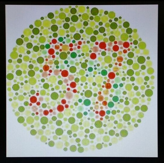 SNELLEN EYE CHART / DIGITAL VISUAL ACUITY SYSTEM made in the USA. No Monitor