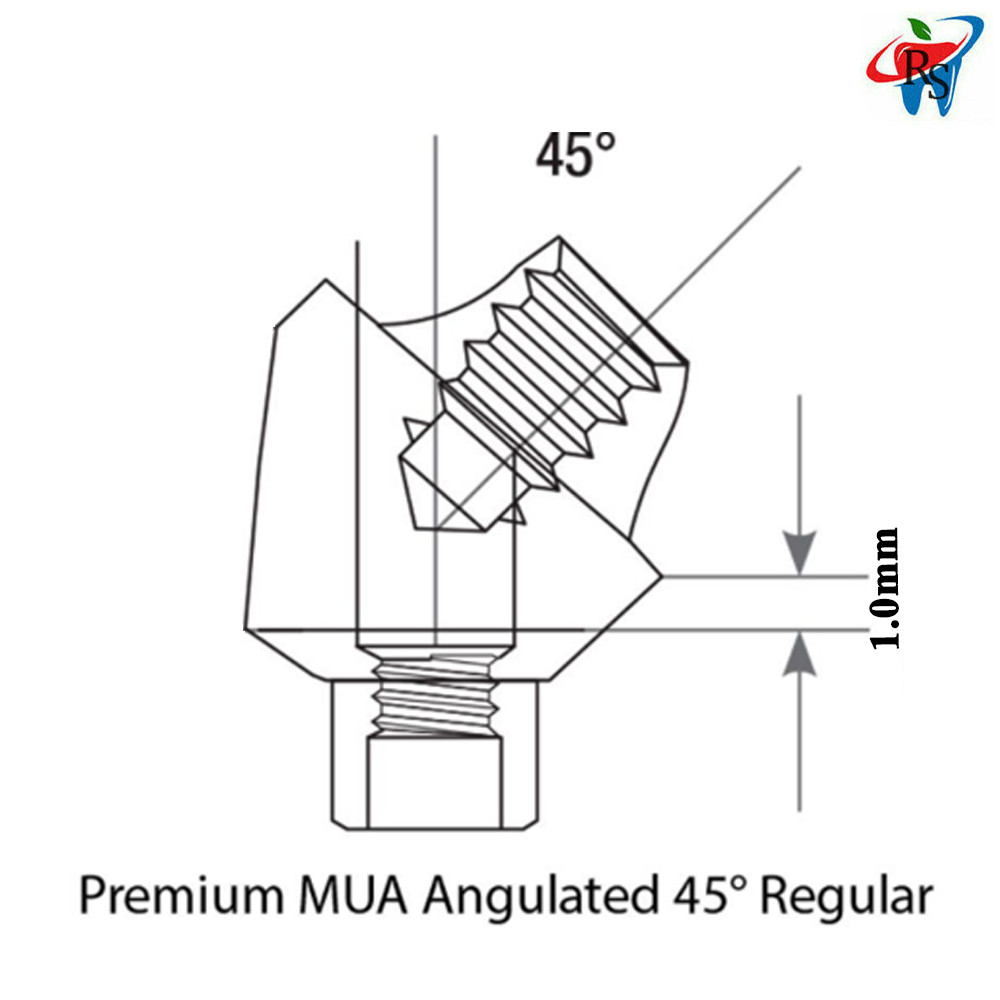 Prosthetic Angulated 45° Multi-Unit 1.6 Int Hex 2.42 Connection Dental Titanium