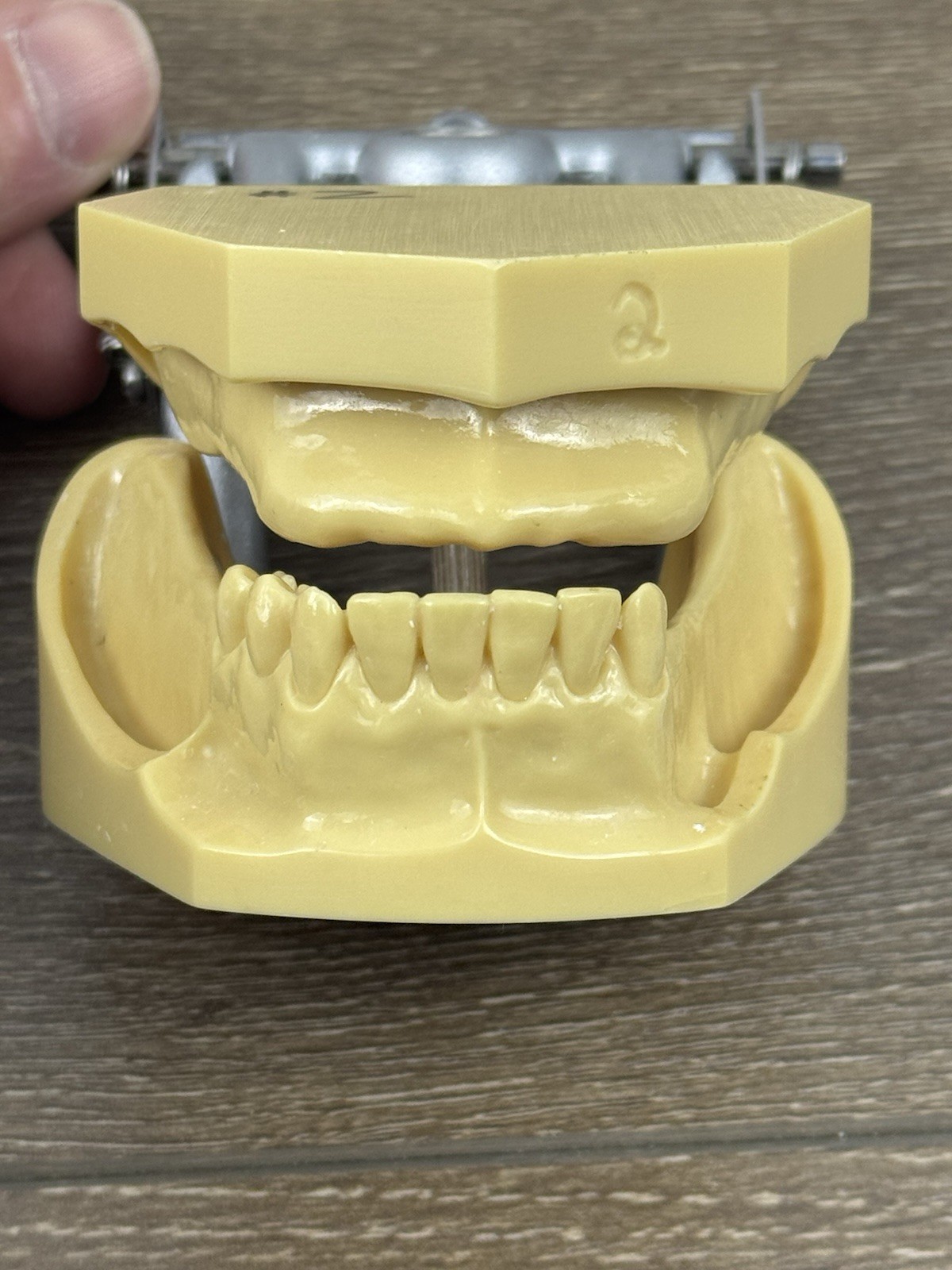 Kilgore Nissin TRM-480 Typodont Edentulous Partial Denture Model Practice