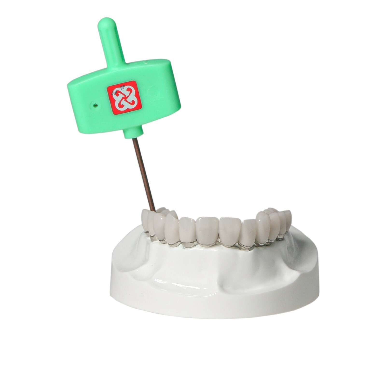 Implants Dental All-on-4 Overdenture Model Upper Jaw Restoration 4 Screws M6023