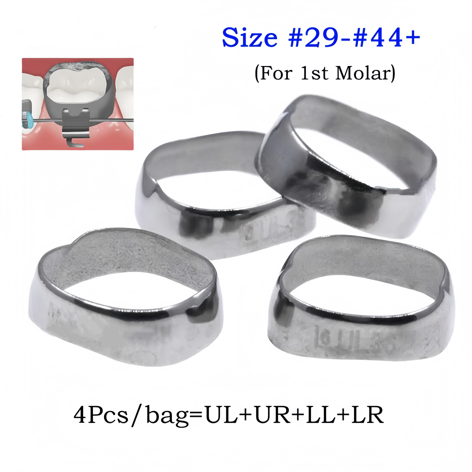 10 Kits/40Pcs Dental 32Model Orthodontic Plain Molar Bands Roth 022 1st #29-44+