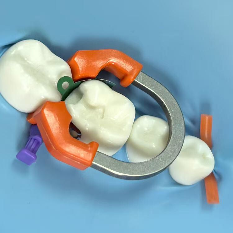 Dental Sectional Matrix System Matrix Bands Matrice Clamp Ring C2/D2/D3 Kit