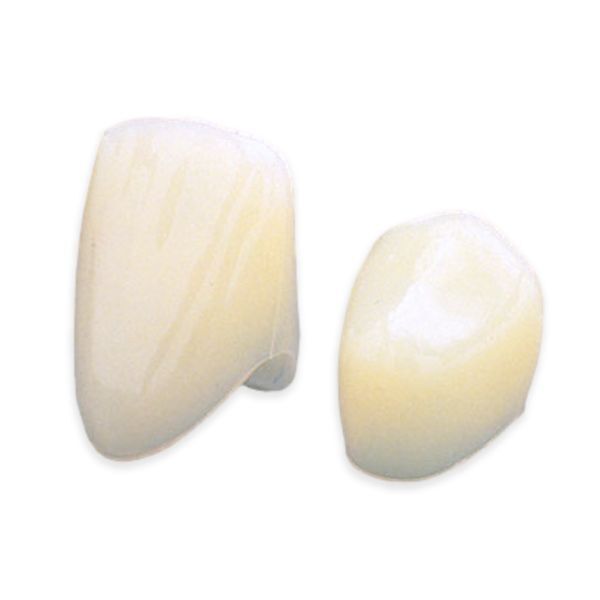 House Brand #40 1st Bicuspid Polycarbonate Crown Form, Box of 5