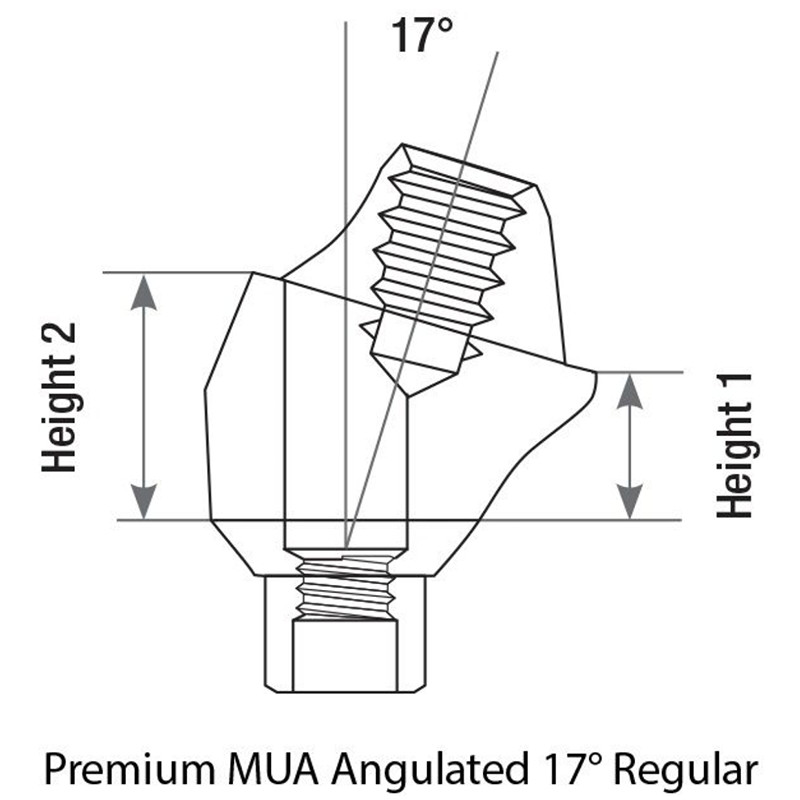 1x Set Angulated 17° Multi-Unit 1.6 RP Int Hex 2.42 PEEK Scan Body Titanium Base