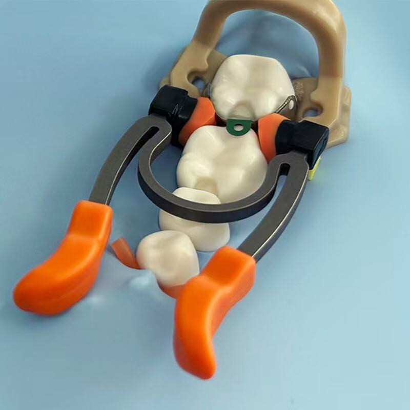 7 Type Dental Matrix Bands Ring Sectional Matrice Clamp Fit Garrison V3 System