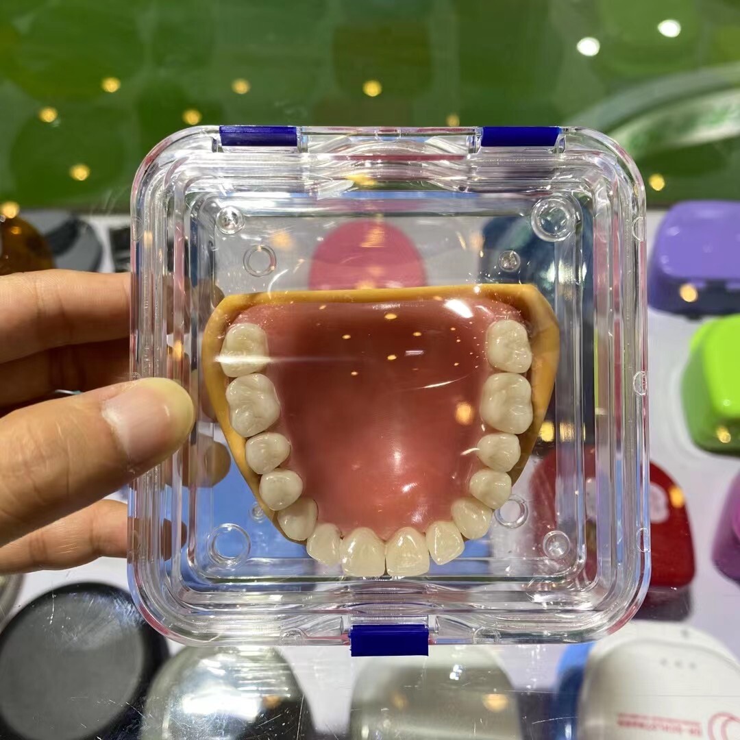 Plastic Dental Box Denture Storage Box with Membrane Hinge Display Jewelry Boxes