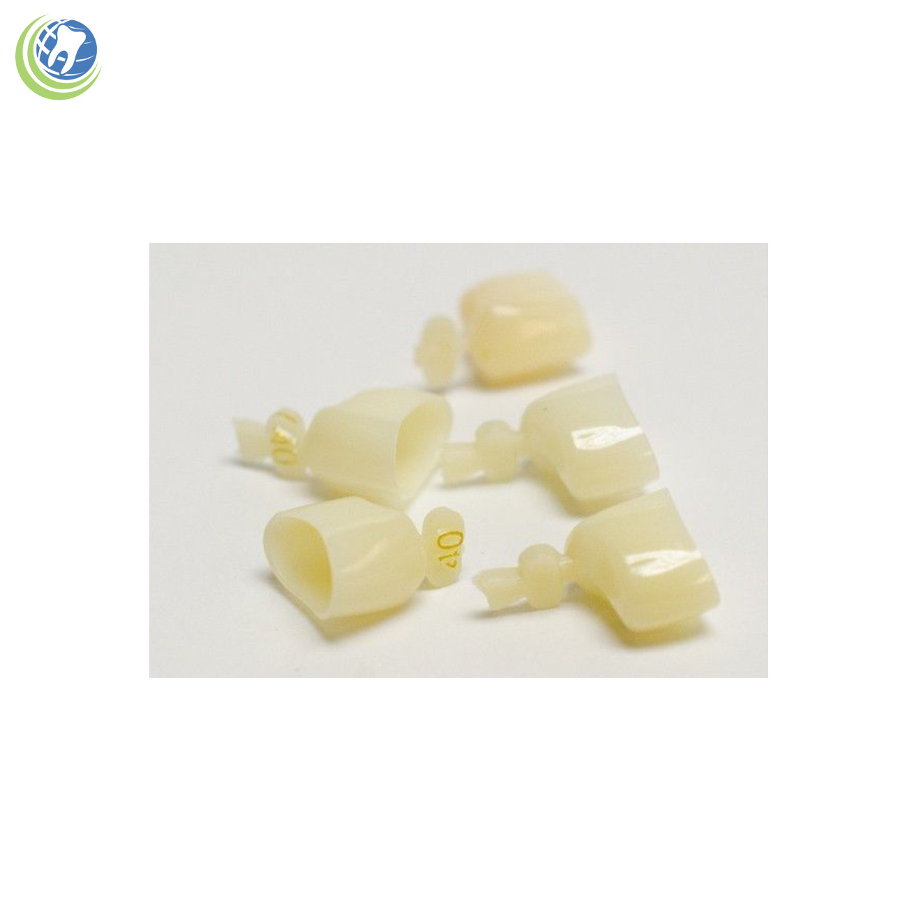 DENTAL POLYCARBONATE TEMPORARY CROWNS #40 FIRST (1ST) BICUSPIDS SMALL 5/PACK