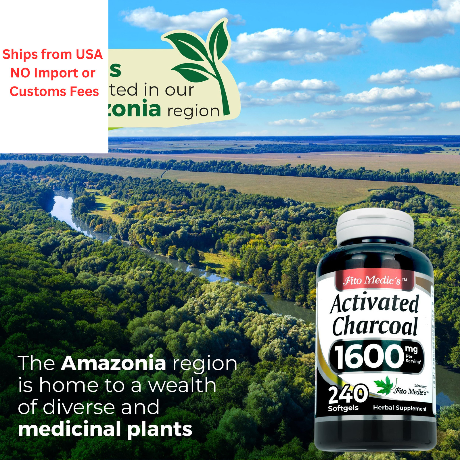 FITO MEDIC’S Lab | Activated Charcoal | 240 caps | 240 Count (Pack of 1)