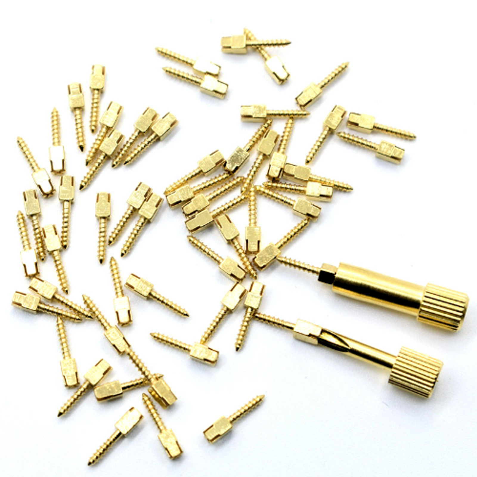 12-60 Pcs Dental Endo Pure Titanium Assorted Conical Screw Posts Root Canal