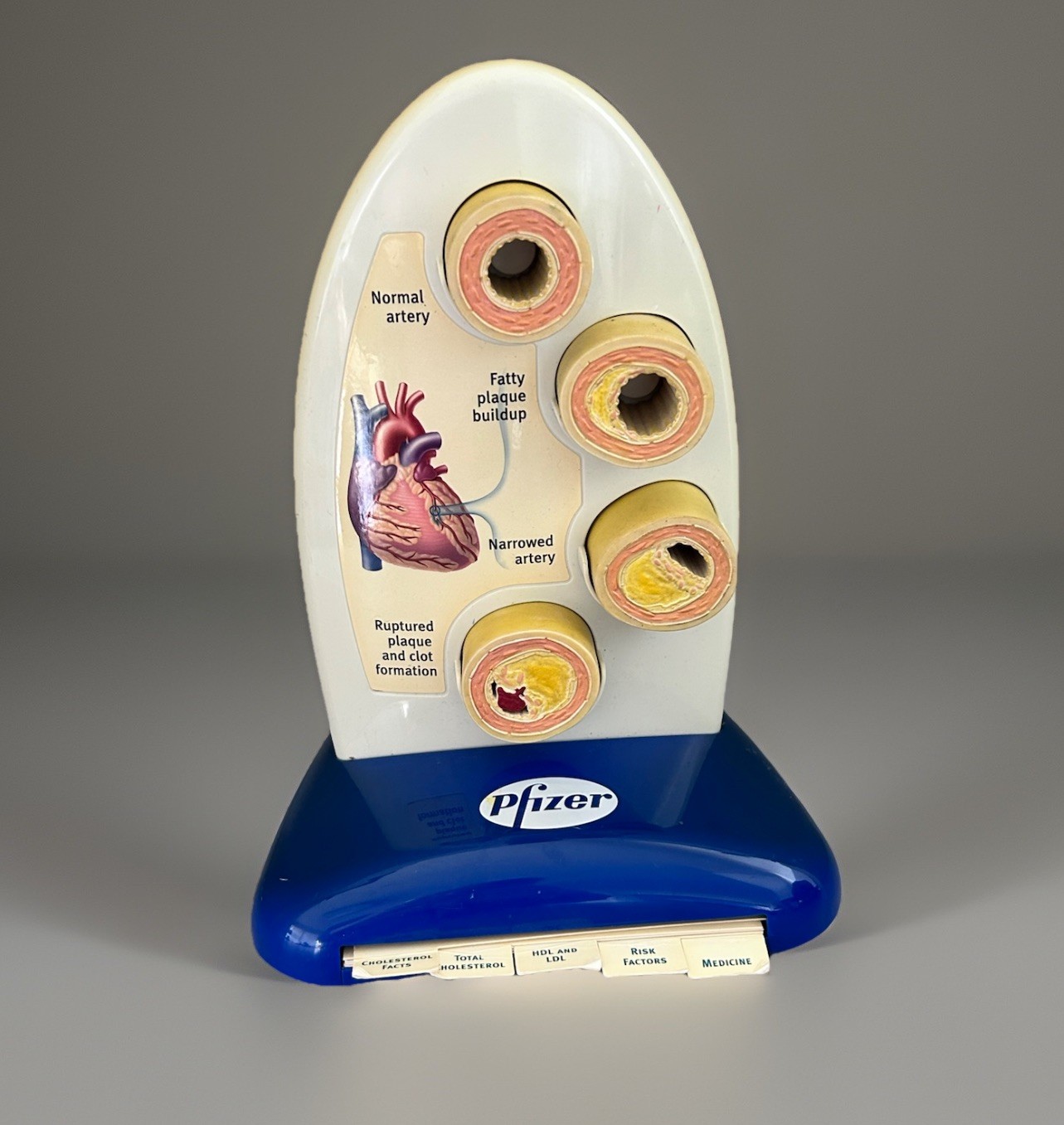 Vintage Pfizer Cholesterol and Heart Disease Artery Display 2004 Pharmaceutical