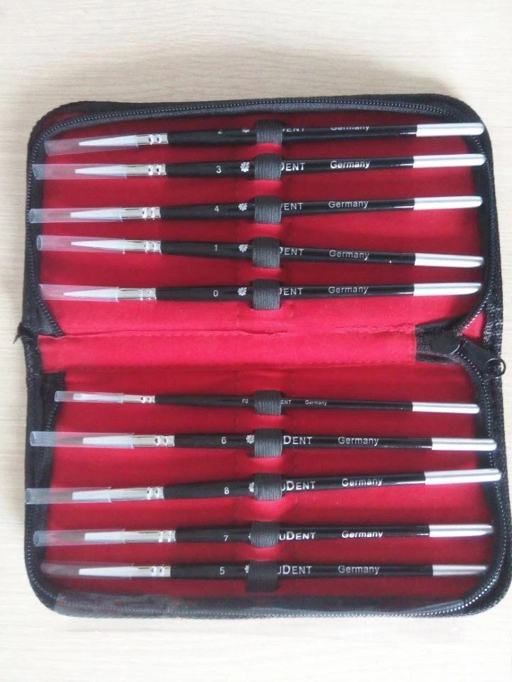 10pcs/set Dental Lab Porcelain Synthetic Brush Pen Set Equipment Well packed