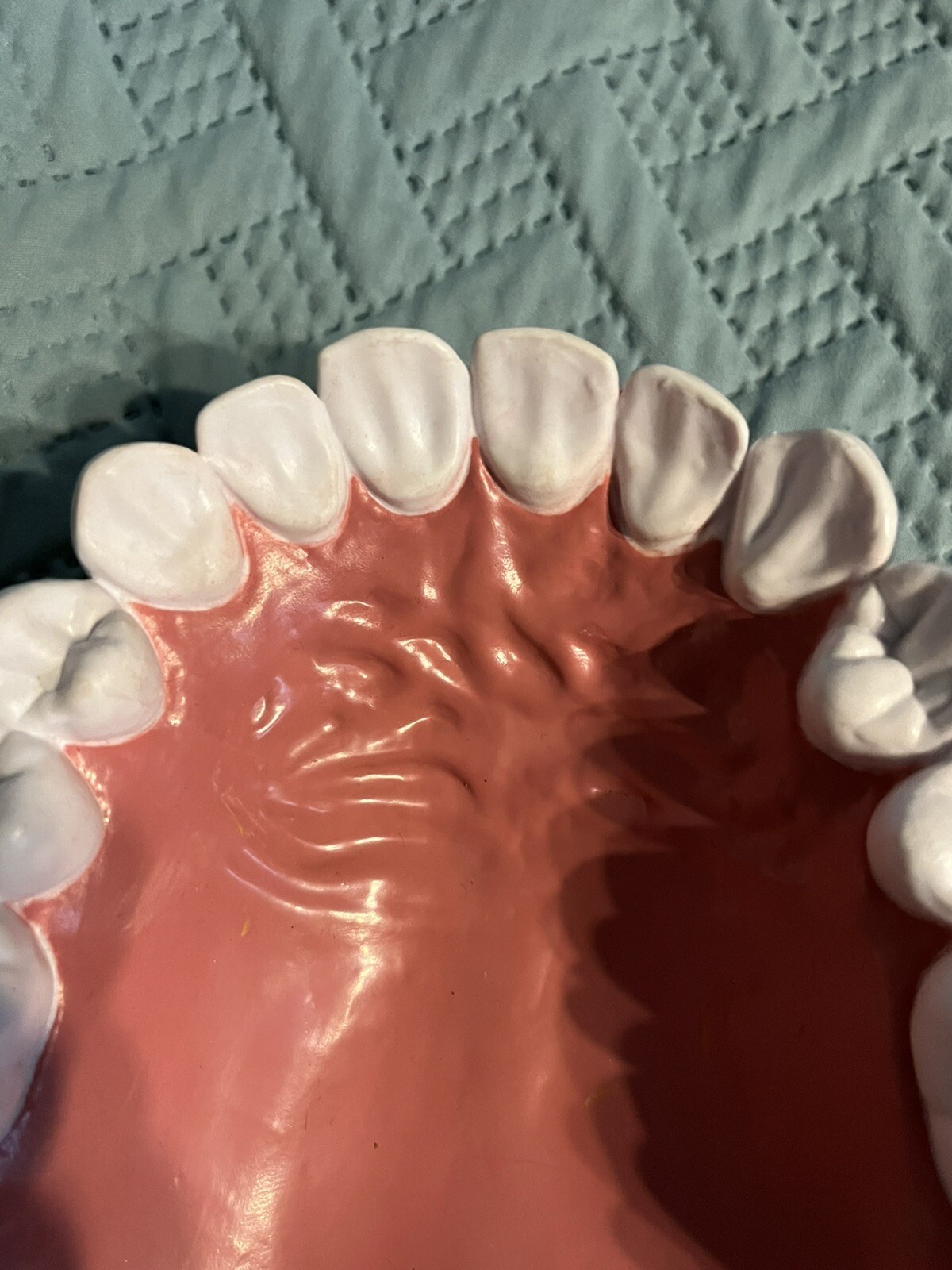 Giant teeth model for hygenist teaching how to brush.