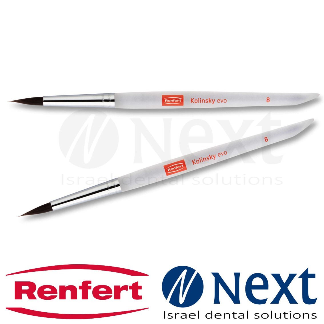 Dental Lab premium Kolinsky EVO Bionic hair brush N8 Renfert 2 pcs 17243008