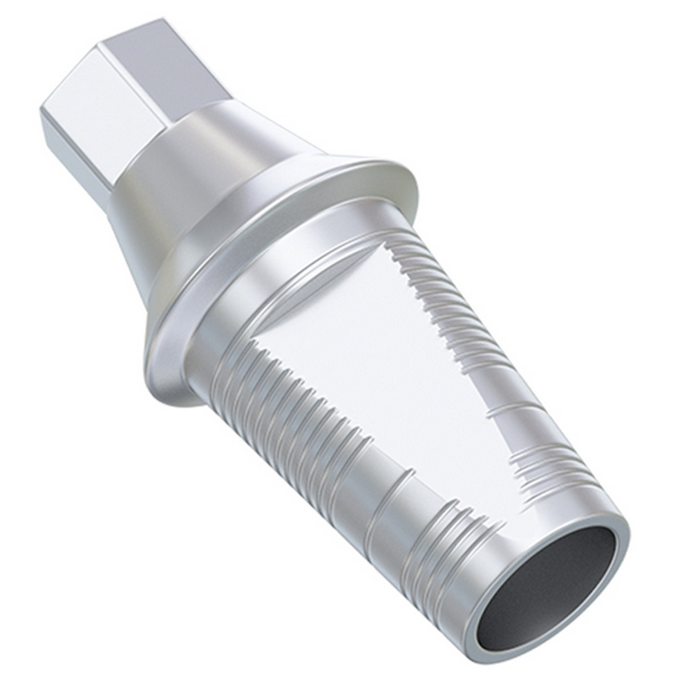 10pcs Dental Oss tem TS Compatible CAD/CAM Ti-Base Mini Platform 2.1mm Abutment