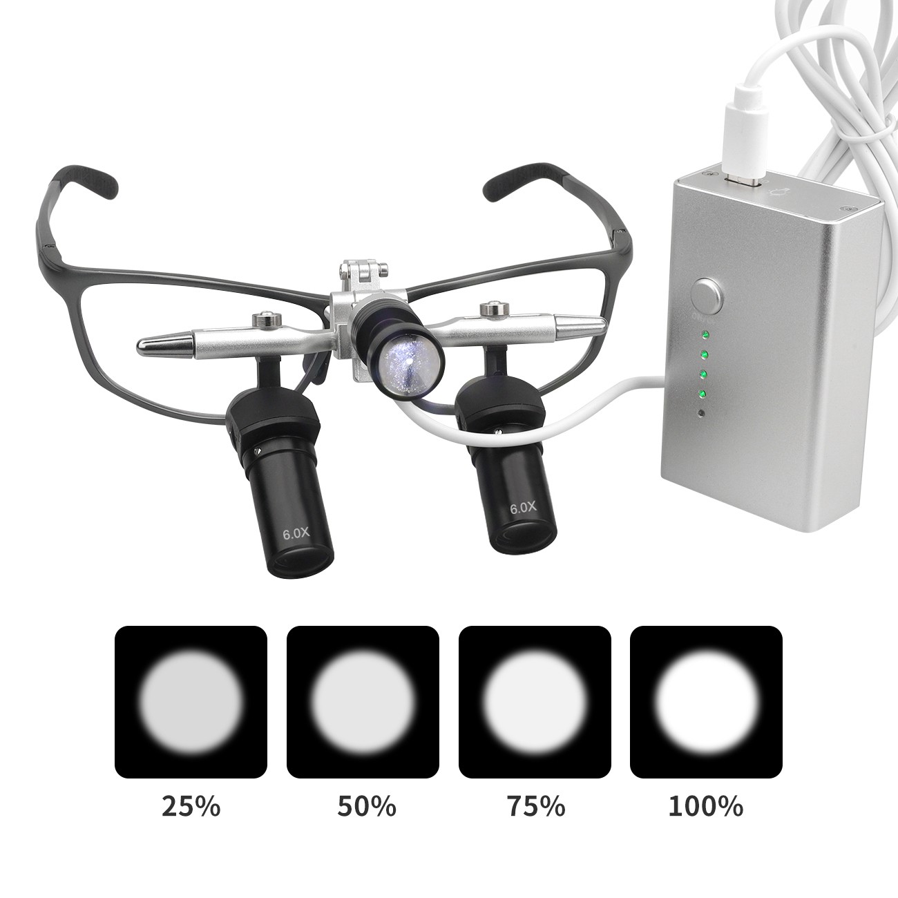 6X High-Definition Optical Lens Dental Ergo Loupes Magnifiers + 5W LED Headlight
