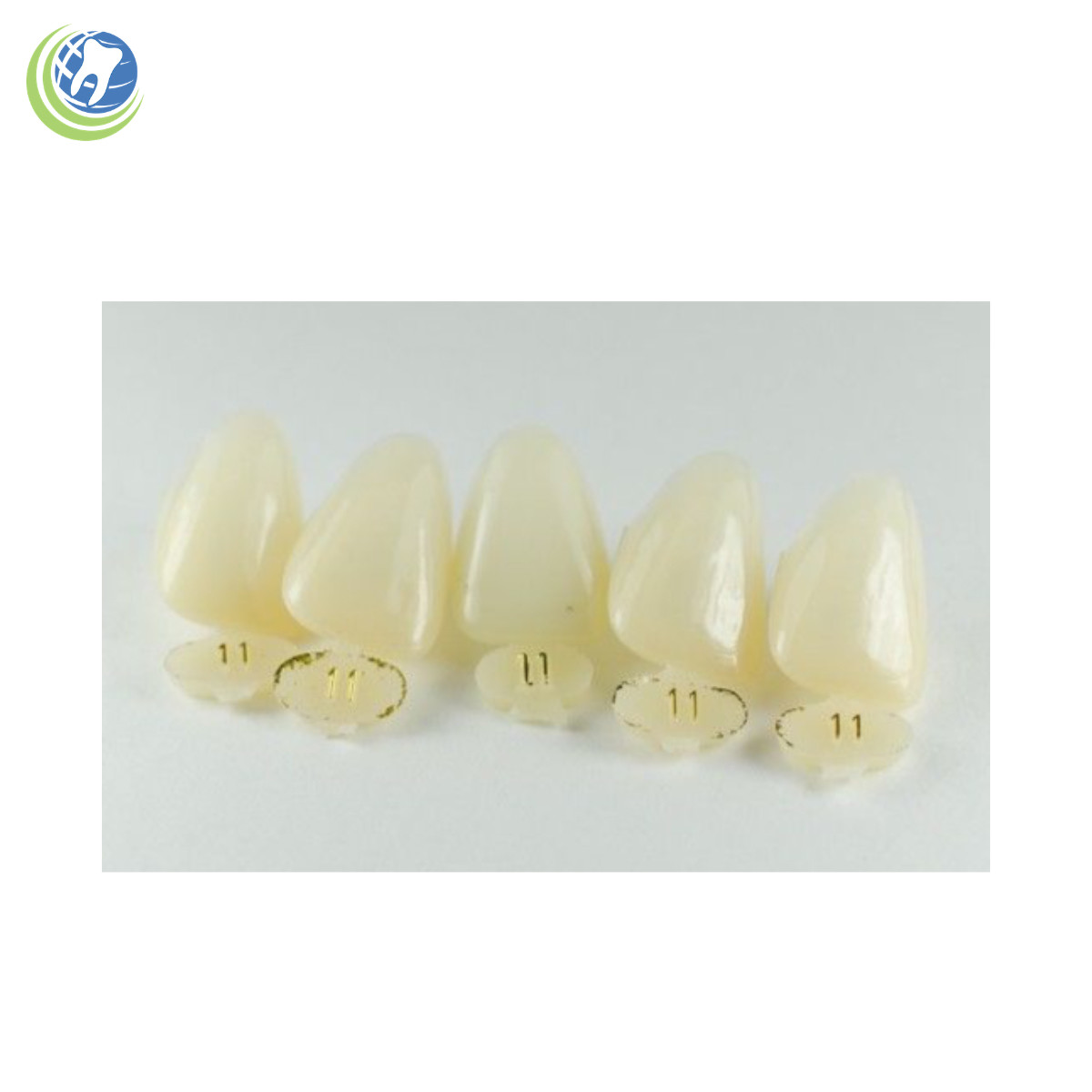 DENTAL POLYCARBONATE TEMPORARY CROWNS #11 (URC) UPPER RIGHT CENTRAL 5/PACK
