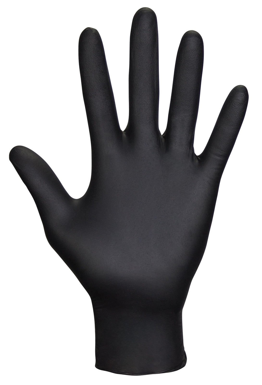 SAS Safety 66518 Raven Powder-Free Disposable Large (Pack of 100), Black
