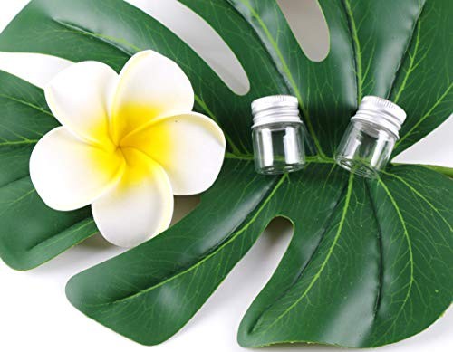 MaxMau Mini Glass Bottles with Screw Caps 5ml 24 Sets Aluminum Top Metal Lids 5